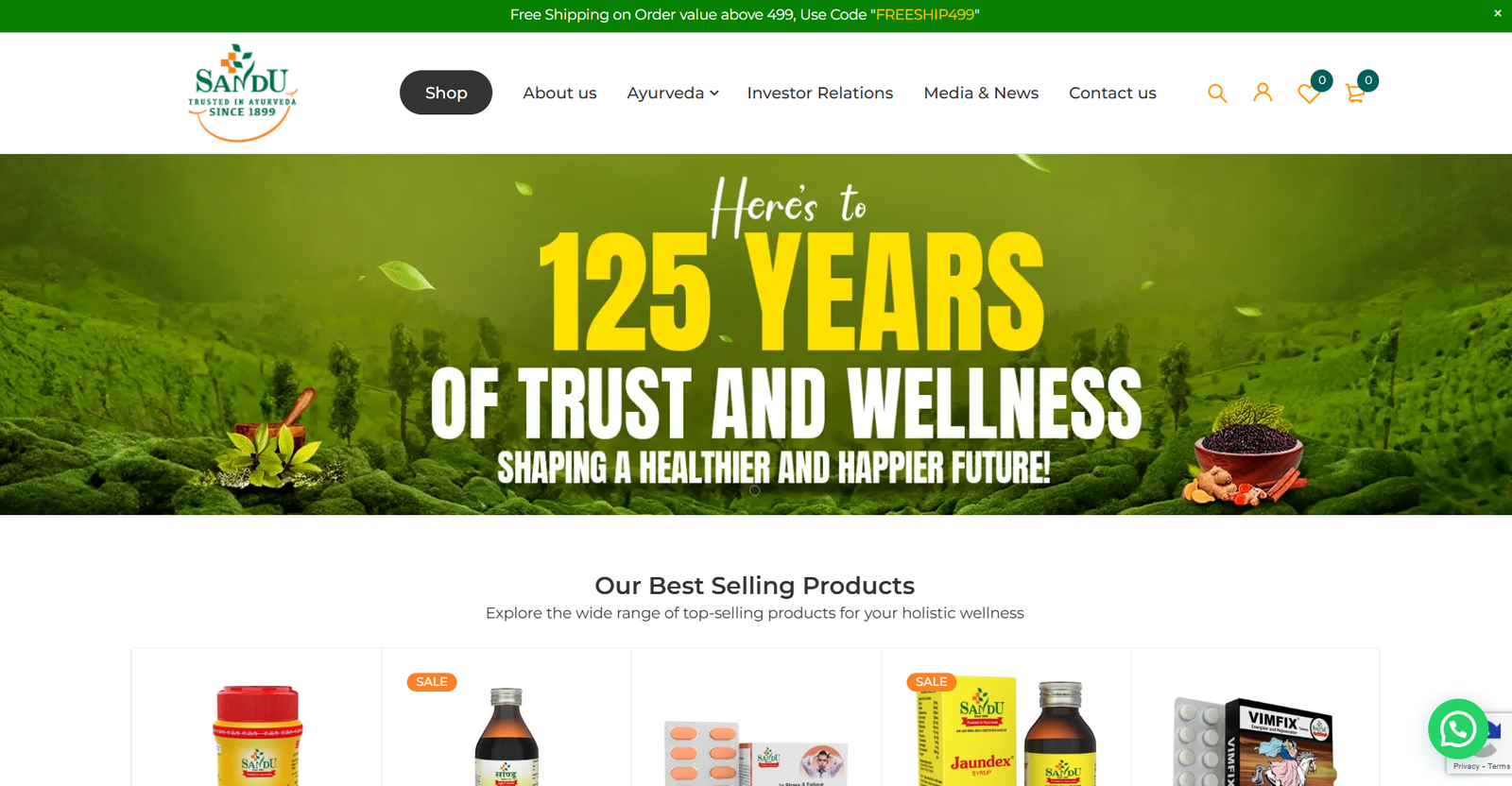 Sandu Pharmaceuticals – Website Maintenance