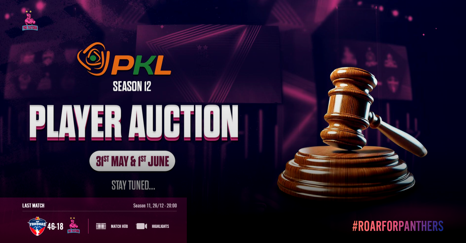 Jaipur Pink Panthers – Website Maintenance